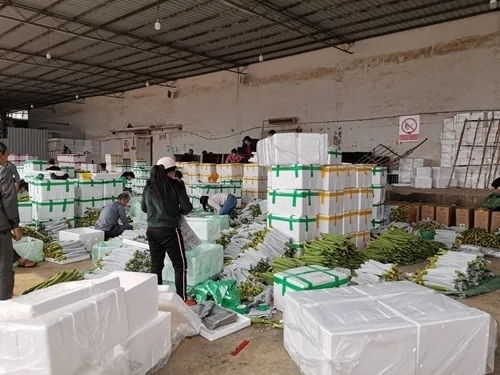 火力全開 紅河州州級以上農(nóng)業(yè)重點龍頭企業(yè)100%復工復產(chǎn)，助力農(nóng)副產(chǎn)品穩(wěn)產(chǎn)保供