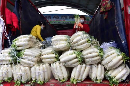 貨足價穩(wěn) 農(nóng)副產(chǎn)品市場保障民生無憂