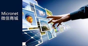 企業(yè)微營銷運營之道 依托微信第三方平臺引領電商開發(fā)建設