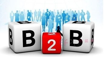 B2B電子商務 商家首選銷售模式下的藍海機遇與平臺建設之道